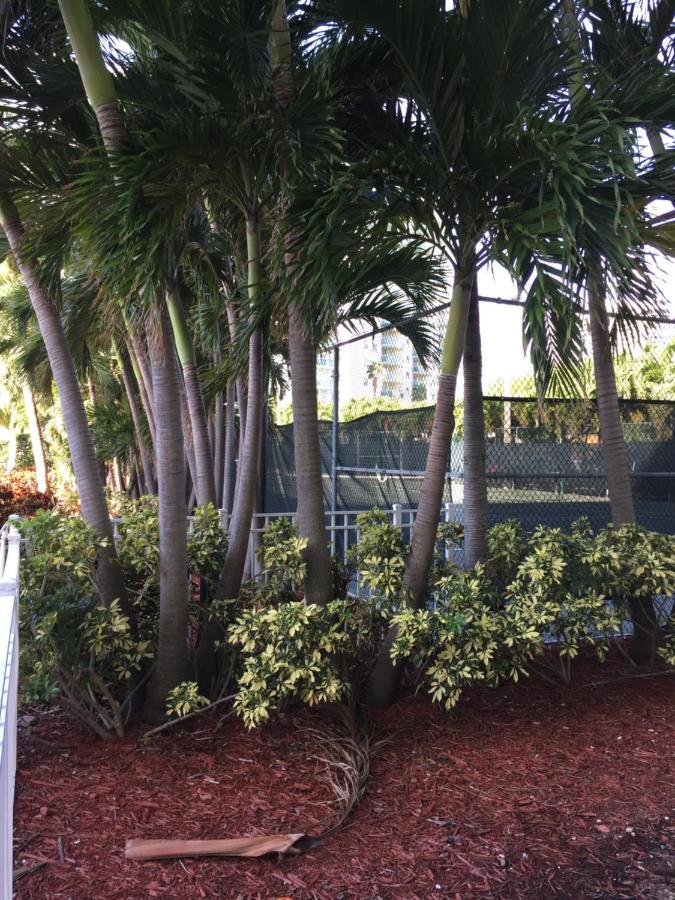 Appartamento Disfruta Sunny Isles Ocean 1206 Str-02816 *